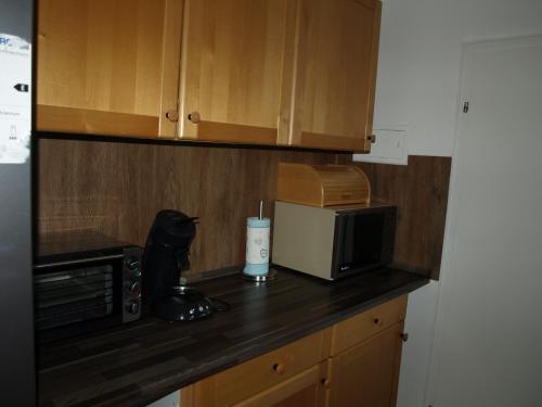 eine Küchentheke mit einer Mikrowelle und einer schwarzen Katzenstatue in der Unterkunft Ferienwohnung Ebbe in Attendorn