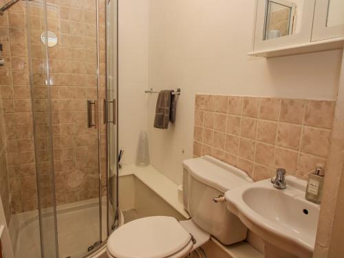 a bathroom with a toilet and a sink and a shower at 26 High Street in Bishops Castle