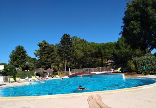 une personne se pose dans une piscine dans l'établissement Le Victoria, piscine et forêt, à Saint-Jean-de-Monts