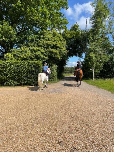 two people riding horses on a dirt road at Cabin Westerlands in Selham