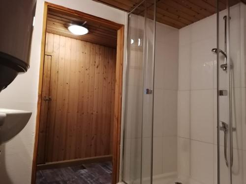 a bathroom with a shower and a glass door at Naab-Wohn in Nabburg