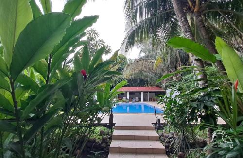 a resort with a swimming pool and some palm trees at Tropical Garden Hotel in Jacó