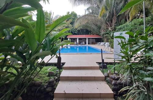 a pool in the middle of a garden with plants at Tropical Garden Hotel in Jacó