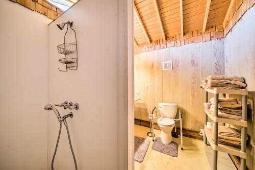 uma casa de banho com um chuveiro e um WC. em Rustic Iowa Cabin 10 Mi to Maquoketa Caves em Spragueville
