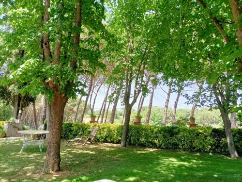 a park with a bench and a table and trees at Can Jan Vives in Vidreres