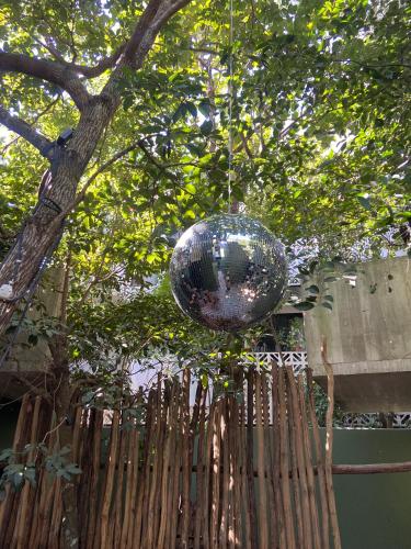 Gambar di galeri bagi Loba Tulum Male Only di Tulum