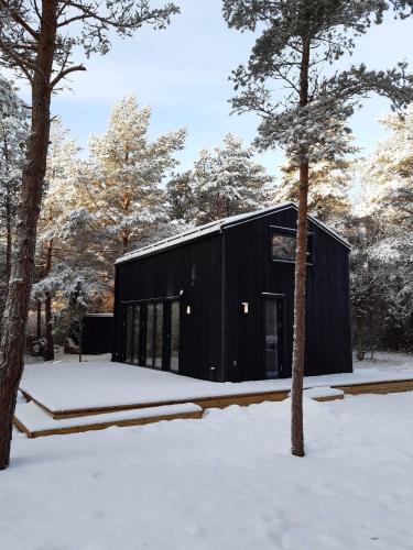 겨울의 Forest House, Tiidu
