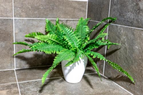 a green plant in a white vase on the floor at Villa Ana Bački Petrovac in Bački Petrovac