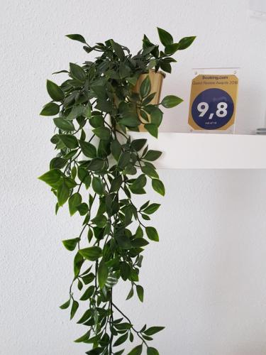 a green plant on a shelf next to a clock at Casa del Castillo by Naturadrada in La Adrada