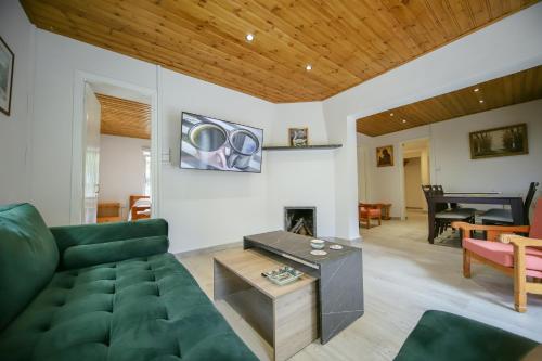 a living room with a green couch and a fireplace at Legacy 1930s in Prodromos
