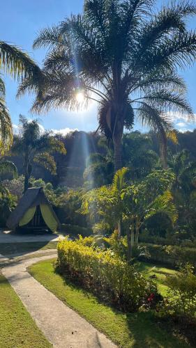 Glamping En Green Hills Mansion Malinalco