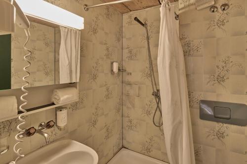 a bathroom with a shower and a toilet and a sink at Baeren Hotel, The Bear Inn in Wilderswil