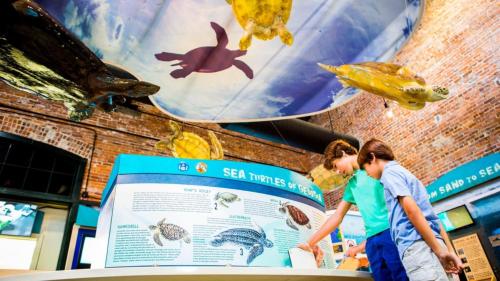 two children looking at a sign at a fish museum at Holiday Inn Resort Jekyll Island by IHG in Jekyll Island