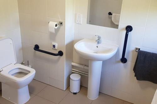 a bathroom with a sink and a toilet at Chestnut Lodge, Summerhayes in Bridgwater