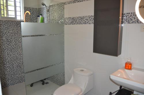 a bathroom with a toilet and a sink at ECOVILLA CORAL GARDEN in Baoruco
