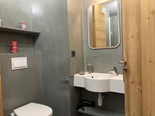 a bathroom with a sink and a toilet and a mirror at Appartement Avoriaz, 2 pièces, 4 personnes - FR-1-634-76 in Morzine