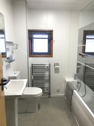 a bathroom with a toilet and a sink and a tub at Gulls Island in Morenish