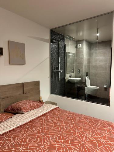 a bedroom with a bed and a sink and a mirror at Magnifique Loft - Hyper Centre in Annemasse