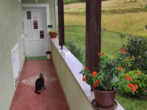 a cat sitting on the porch of a house at FILUTE in Vrbovsko