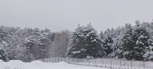 Wierzchy 34 en invierno