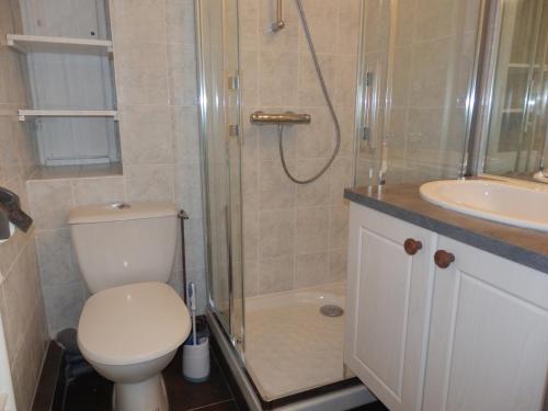 a bathroom with a shower and a toilet and a sink at Appartement 8 pers, proche commerces, skis aux pieds à Avoriaz - FR-1-634-9 in Avoriaz