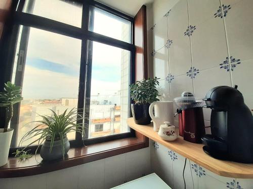 a kitchen with a window with plants on a shelf at Appartement Quartier Calme sur la côte sauvage! 400m plage in Póvoa de Varzim