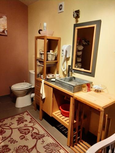een badkamer met een wastafel en een toilet bij chambre d hotes in Saint-Laurent-de-la-Barrière