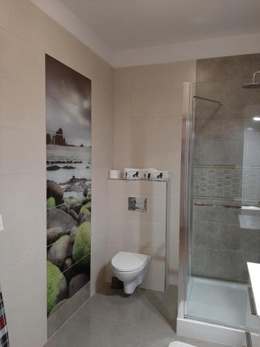 a bathroom with a toilet and a shower at Apartament nad Jeziorem Olecko in Olecko