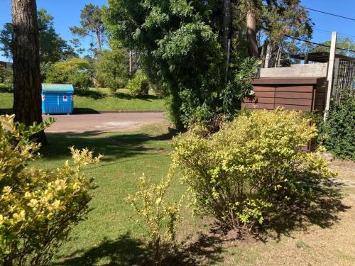 un patio con arbustos y árboles y una valla en Cozy nice apartment, en Punta del Este