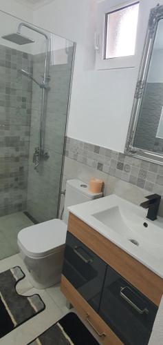 un bagno con WC, lavandino e doccia di Casa cu Dor a Viştea de Sus
