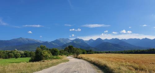 una strada sterrata attraverso un campo con le montagne sullo sfondo di Casa cu Dor a Viştea de Sus