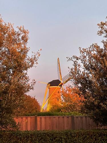 a windmill in a field with a fence and trees at Gastenverblijf bij de Buuren in Dirksland