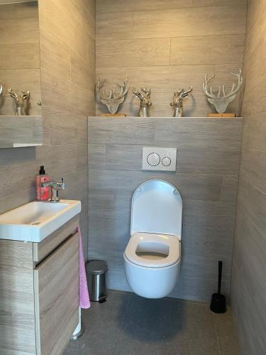a bathroom with a toilet and a sink at Gastenverblijf bij de Buuren in Dirksland