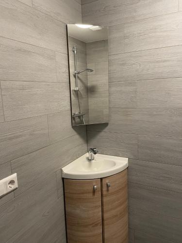 a bathroom with a sink and a mirror at Gastenverblijf bij de Buuren in Dirksland