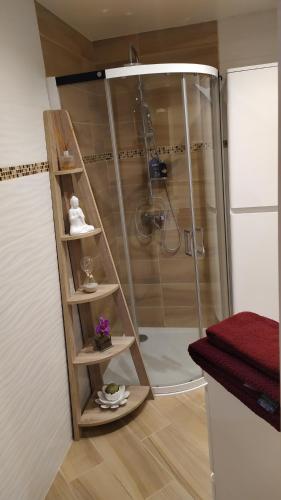 La salle de bains est pourvue d'une cabine de douche en verre. dans l'établissement Studio Nature enchantée Annecy, à La Balme-de-Sillingy