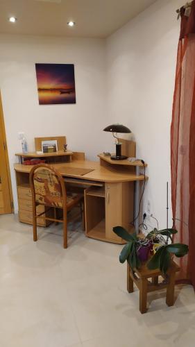 un bureau avec un bureau, une chaise et une lampe dans l'établissement Studio Nature enchantée Annecy, à La Balme-de-Sillingy