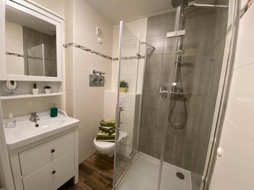 een badkamer met een douche, een toilet en een wastafel bij Ferienwohnung Schloßberg Wohnung 2 in Eisenach