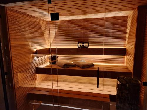 a bathroom with a sauna with a glass wall at Apartamenty Skrzyczne in Szczyrk
