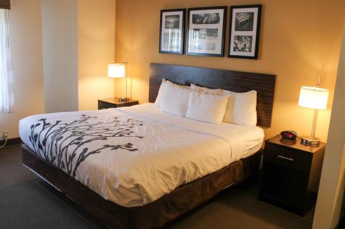 Habitación de hotel con 1 cama grande y 2 lámparas en Sleep Inn Bend, en Bend