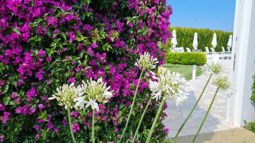 Gallery image of I MESTRI Holiday Homes in Uggiano la Chiesa
