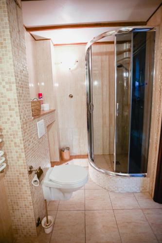 a bathroom with a shower and a toilet in it at Loft nad Szpularnią in Żyrardów