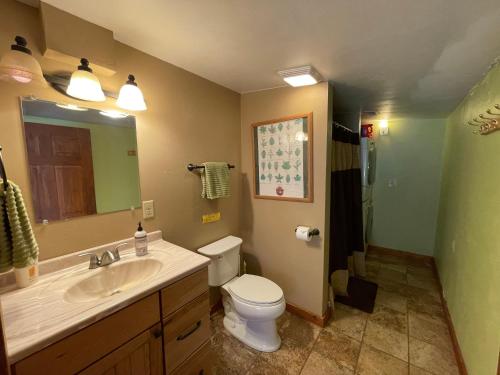 uma casa de banho com um lavatório, um WC e um espelho. em Stay Twin Lakes Cottage em Twin Lakes