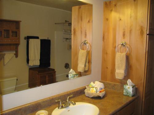 baño con lavabo y espejo grande en Red Rock Hacienda en Kanab