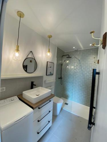 uma casa de banho com um lavatório, um WC e um chuveiro em Appartement standing 2 pièces tout équipé avec jardin et parking privé 