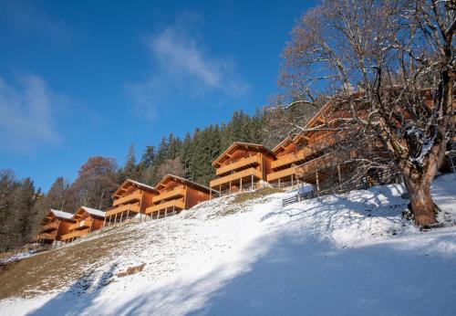 a group of wooden buildings on a snow covered hill at Racers Retreat 10 in Wengen