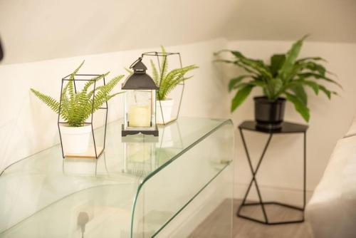 a glass table with four potted plants on it at Orchid Lodge - Two Bed Generous Flat - Parking, Netflix, WIFI - Close to Blenheim Palace & Oxford - F4 in Kidlington
