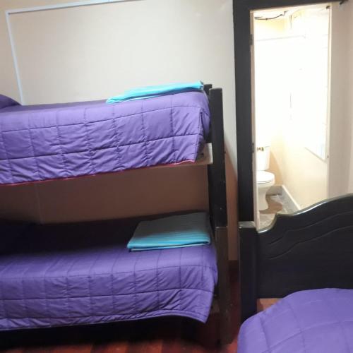 a room with three bunk beds with purple sheets at Hostería Residencial Santa Rosa in Los Andes