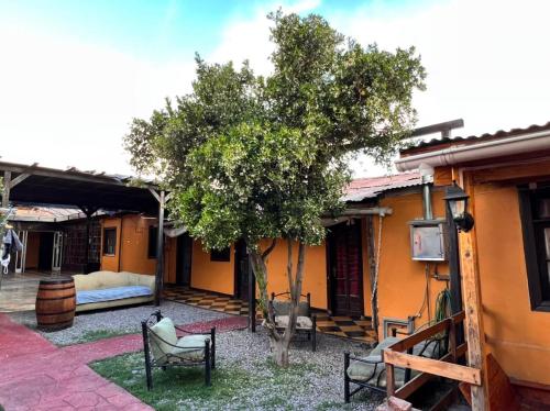 um pátio com uma árvore e cadeiras em frente a uma casa em Hostería Residencial Santa Rosa em Los Andes