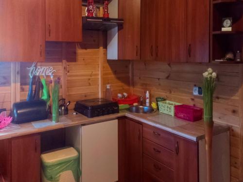 Gallery image of Holiday Home in G uszyn with Private Pool in Kolonia Głuszyn