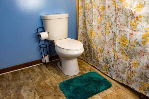 a bathroom with a toilet and a green rug at Long Mountain Suite in Amherst